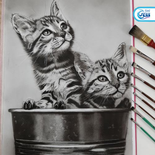 نمونه کار نقاشی سیاه قلم طرح دو بچه گربه