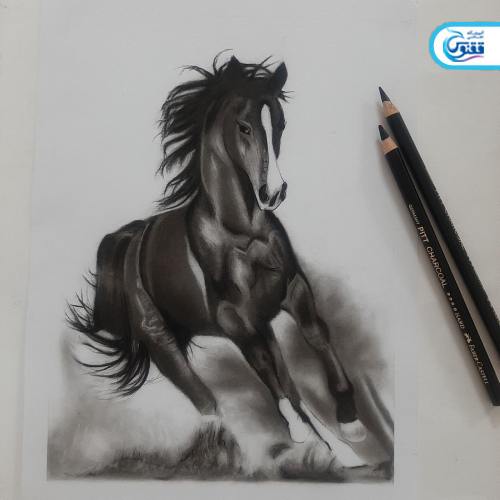 نمونه کار نقاشی سیاه قلم  طرح اسب در حال دویدن