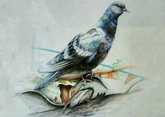 نقاشی پرنده